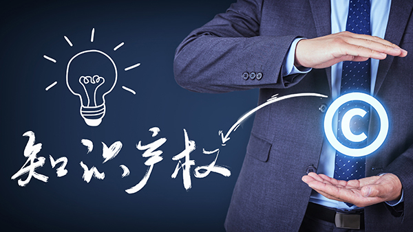 知識產(chǎn)權(quán)服務(wù)